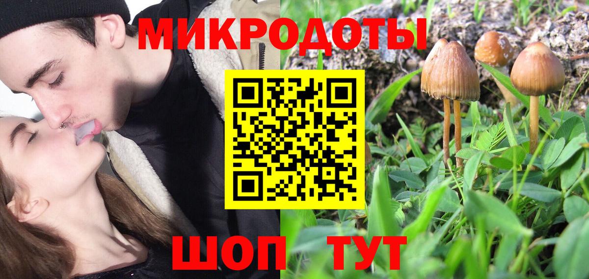 наркота  Псилоцибиновые грибы GOLDEN TEACHER  Псилоцибиновые грибы ЛСД  Вход с VPN  Донской 